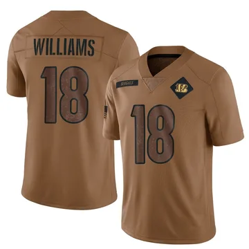 Youth Nike Cincinnati Bengals Isaiah Williams Brown 2023 Salute To Service Jersey - Limited